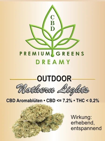 Dreamy - Nothern Lights Outdoor