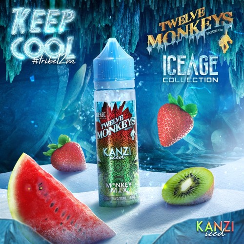 Twelve Monkeys - Kanzi Iced
